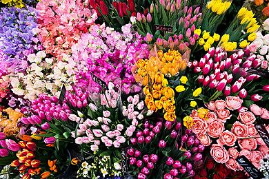 《霍格沃茨的遗产》典藏版和豪华版泄露 可提前三天进入游戏